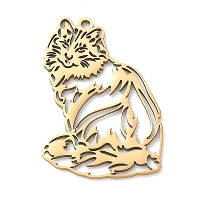 201 Stainless Steel Pendants SA-CBAE892-01G-06-1