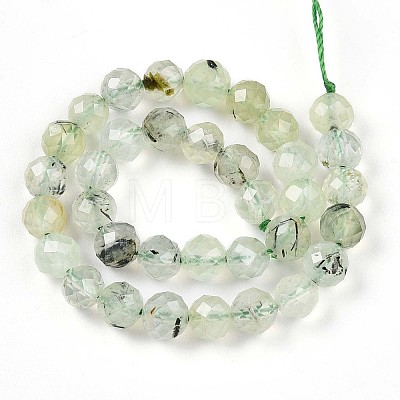 Natural Prehnite Beads Strands G-S345-6mm-28-1