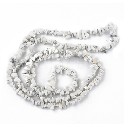 Natural Howlite Beads Strands G-G0003-B17-1