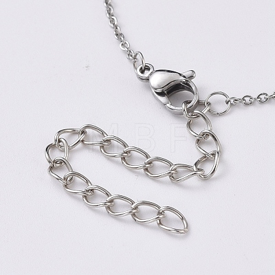 Cubic Zirconia Charms Necklaces NJEW-JN02686-1