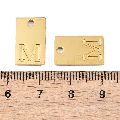 304 Stainless Steel Pendants SA-CBA1839-21G-M-1