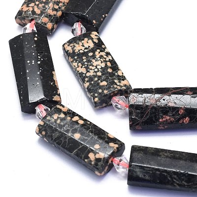 Natural Snowflake Obsidian Beads Strands G-E530-16M-1