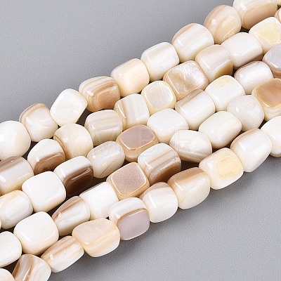 Natural Freshwater Shell Beads Strands BSHE-T014-51A-1