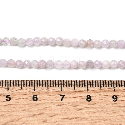 Natural Kunzite Beads Strands G-G343-B03-3mm-1