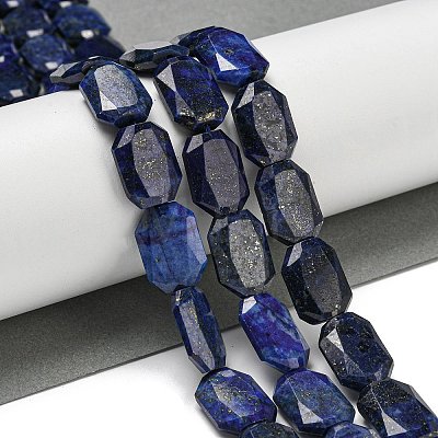 Natural Lapis Lazuli Beads Strands G-P544-B10-01-1