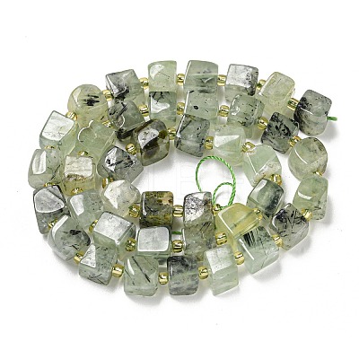 Natural Prehnite Beads Strands G-G053-B12-01C-1