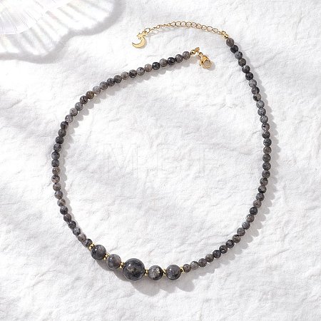 Natural Larvikite Round Graduated Beaded Necklaces NJEW-JN05654-03-1