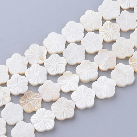 Natural Freshwater Shell Bead Strands SHEL-T001-A01-1