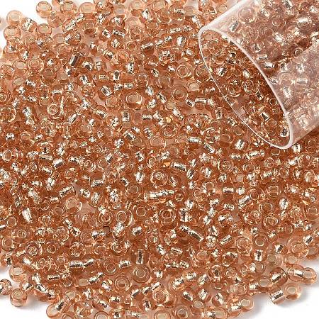 10G Glass Seed Beads SEED-YW0003-11I-1