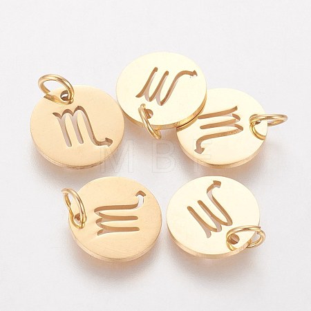 304 Stainless Steel Charms STAS-Q201-T445-8G-1