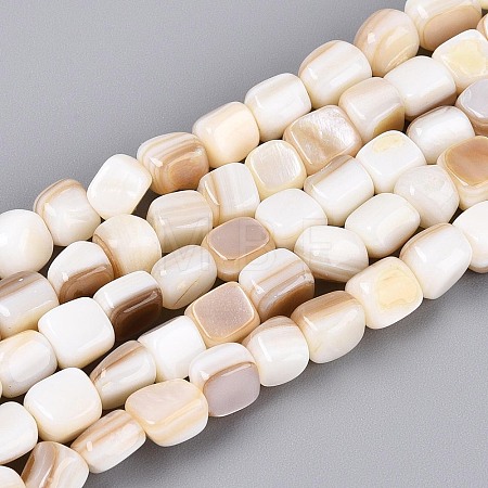 Natural Freshwater Shell Beads Strands BSHE-T014-51A-1