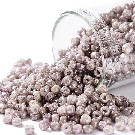 TOHO 8/0 Round Beads X-SEED-TR08-1203-1