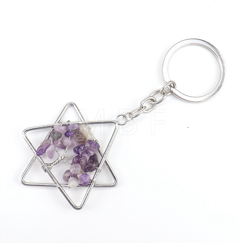 Gemstone Keychains PW-WG361CF-03-1