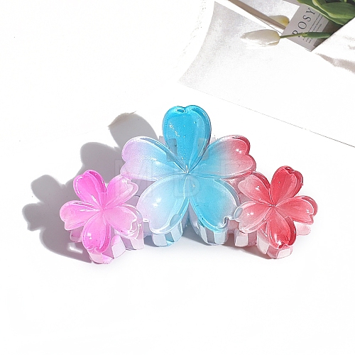 Resin Claw Hair Clips PW-WG39538-01-1