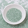 MIYUKI Delica Beads SEED-X0054-DB0829-2