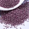 MIYUKI Delica Beads SEED-X0054-DB1848-1