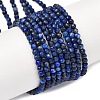 Natural Lapis Lazuli Beads Strands G-E351-09-2