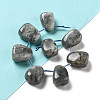 Natural Labradorite Beads Strands G-P528-E10-01-2