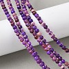 Dyed Natural Regalite/Imperial Jasper/Sea Sediment Jasper Beads Strands G-B124-C05-07-5