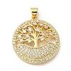 Rack Plating Brass Micro Pave Cubic Zirconia Pendants KK-F869-24G-1