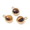 Natural Tiger Eye Charms G-K325-01G-01-1