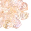 Transparent Glass Beads DGLA-N022-02G-1
