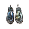 Natural Labradorite Carved Big Pendants G-B085-14P-1