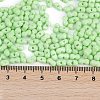 Baking Paint Glass Seed Beads X1-SEED-K010-A18-4