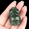 Natural Indian Agate Carved Frog Figurines PW-WG73755-14-1