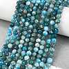 Natural Apatite Beads Strands G-C127-A01-02-2