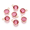 Golden Tone Brass Glass Charms X-GLAA-ZX008-24J-G-1