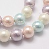 Shell Pearl Bead Strands X-BSHE-L017-10-3