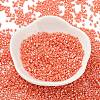 Baking Paint Glass Seed Beads SEED-S042-15B-29-2