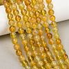 Handmade Lampwork Beads Strand LAMP-B056-8mm-2
