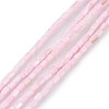 Natural Freshwater Shell Dyed Beads Strands X-SHEL-M018-12-09-1