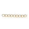 Ion Plating(IP) 304 Stainless Steel Curb Chains Extender LS-STAS-WH0032-02B-G-2