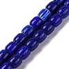 Handmade Lampwork Beads Strands X-LAMP-K041-01B-21-1