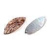 Spray Painted Natural Akoya Shell Mother of Pearl Shell Pendants SHEL-T020-09-2