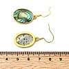 Brass Natural Paua Shell Dangle Earrings EJEW-M060-19C-G-5