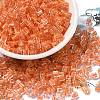 Glass Seed Beads X1-SEED-H002-F-1108-1