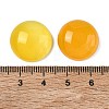 Natural Agate Cabochons GG-CBA19D0-05B-3