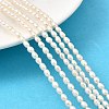 Natural Cultured Freshwater Pearl Beads Strands PEAR-I007-01O-01E-1