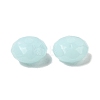 Transparent Acrylic Beads OACR-H116-05I-2