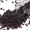 TOHO 8/0 Round Beads X-SEED-TR08-0166C-1