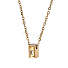 304 Stainless Steel with Clear Glass Rectangle Pendant Urn Ashes Necklaces for Women Men NJEW-WH0013-83G-1