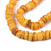 Natural Trochid Shell/Trochus Shell Beads Strands SHEL-S258-081-B10-3