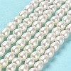 Natural Cultured Freshwater Pearl Beads Strands PEAR-E016-125-2