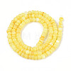 Natural Freshwater Shell Dyed Beads Strands SHEL-T020-29A-09-2