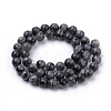 Natural Larvikite Beads Strands G-S259-06-8mm-2