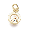 Brass Micro Pave Cubic Zirconia Charms ZIRC-I032-57G-2